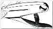 Coupon Book Punch - Round Holes	is a punch meant for the rapid marking of coupon books, visit Rubberstampsandseals.com