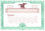 Book of 20 LLC Stock Certificates
Limited Liability Corporation