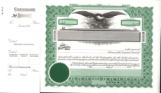 #196 Stock Certificates (Side Stub)
Standard Corporate Stocks